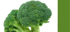 Broccoli