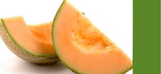 Cantaloupe