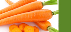 Carrots