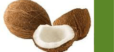 Coconut