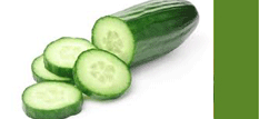 Cucumber