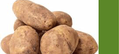 Irish Potato