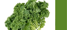 Kale