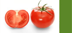 Tomatos